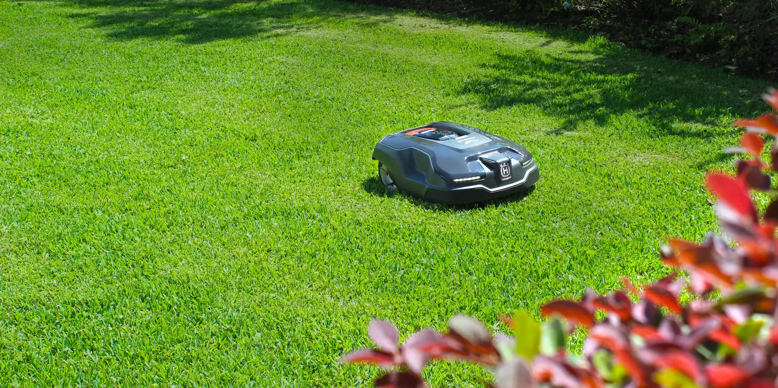 A robotic mower cutting a striped St. Augustine lawn in Tampa