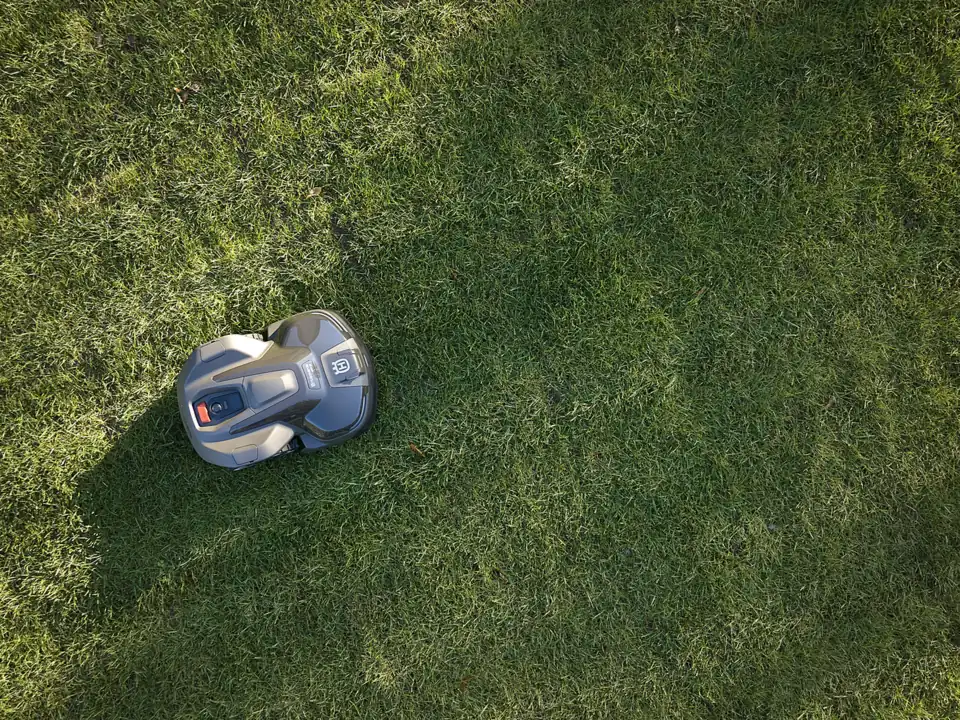 Overhead view